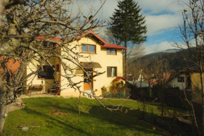 Mountain View Cabin